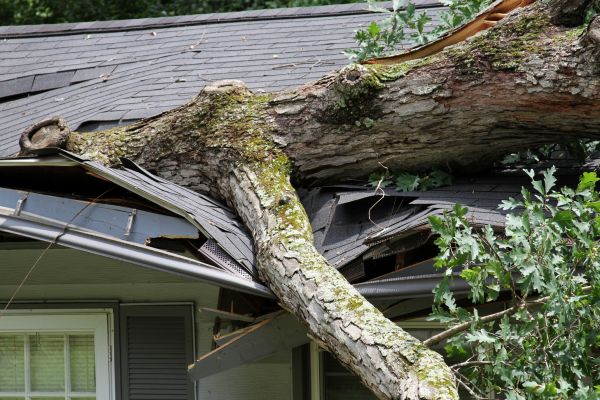 Cost of Storm Remediation in Largo