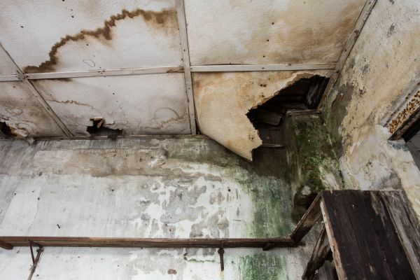Water Damage Service in Largo