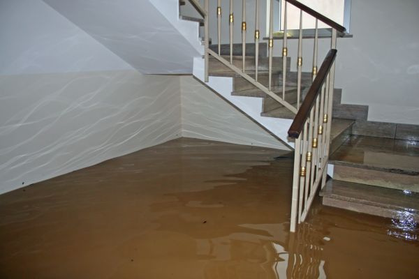 Storm Damage Restoration in Largo