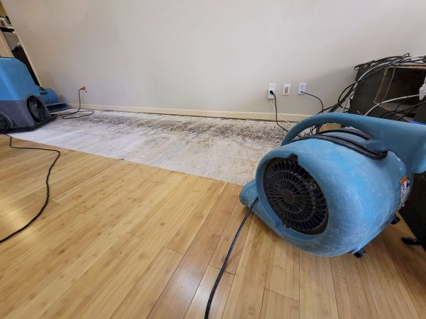 Cost of Water Damage Mitigation in Largo