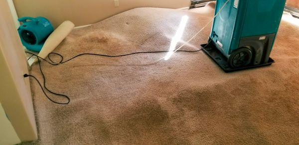 Flood Damage Cleanup in Largo