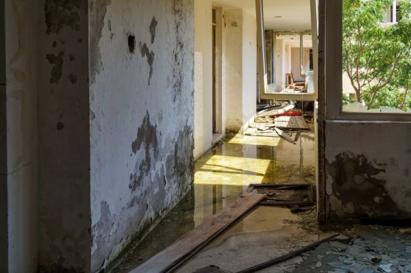Water Removal Service in Largo