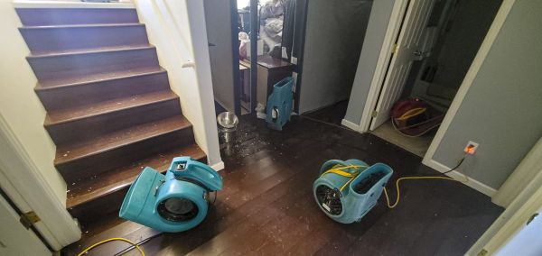 Water Damage Remediation in Largo