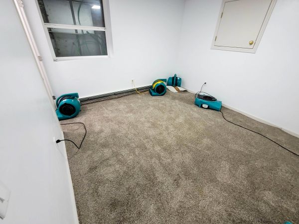 Flood Restoration Service in Largo