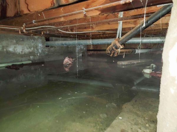 Water Mitigation Service in Largo