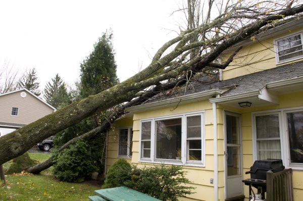 Hurricane Damage Repair in Largo