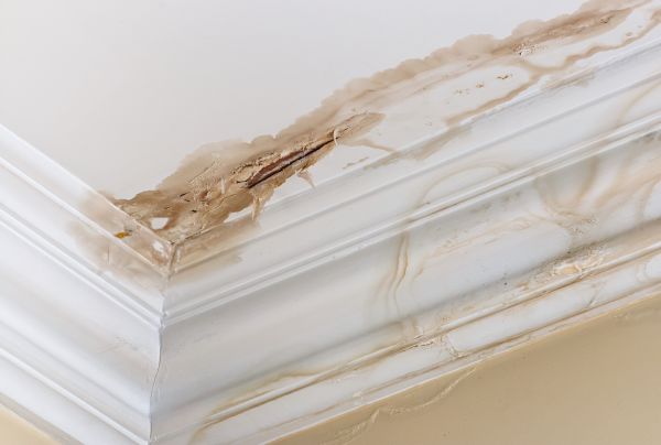 Cost of Water Damage Recovery in Largo